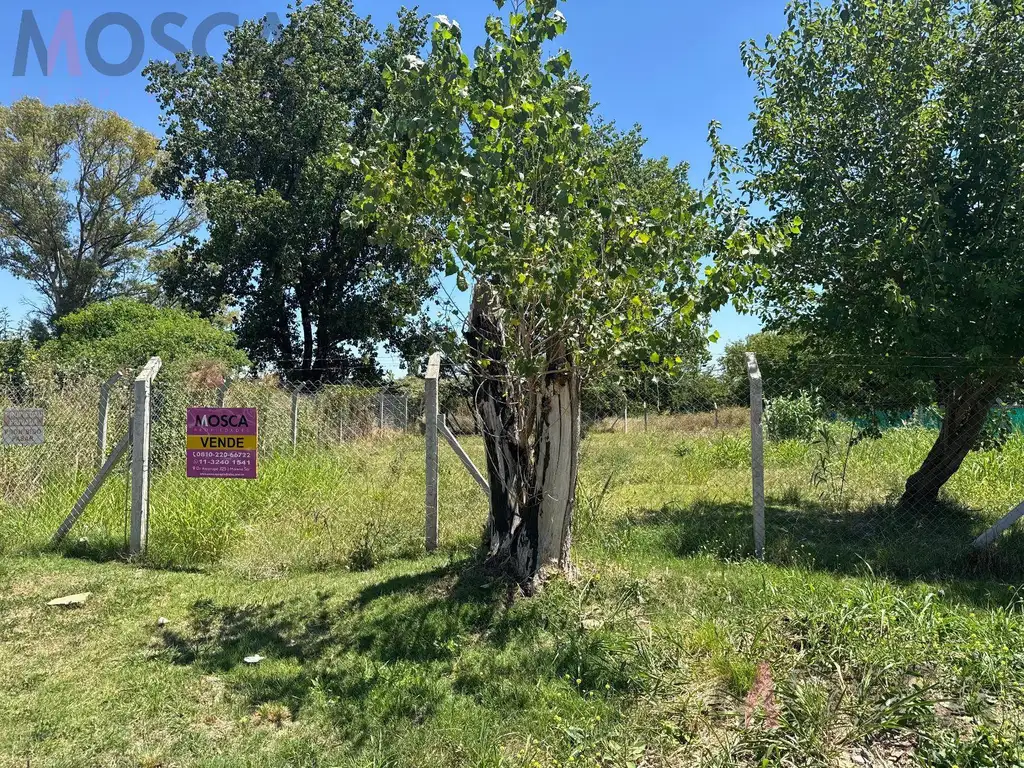Foto de Terreno - Moreno, imagen 2