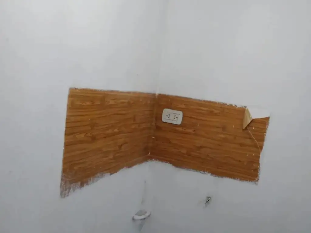 Foto de DEPARTAMENTO EN ALQUILER EN G. CATAN, imagen 5