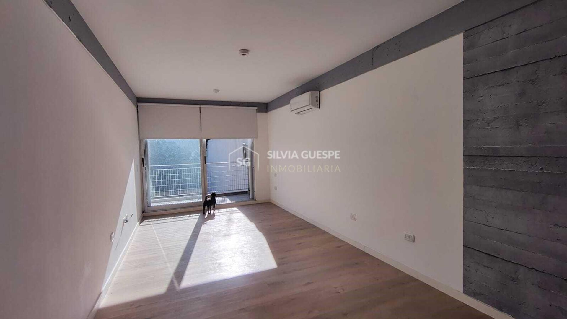 Foto de DEPARTAMENTO EN ALQUILER MONOAMBIENTE EN PARQUE CHAS, MUY LUMINOSO, imagen 5