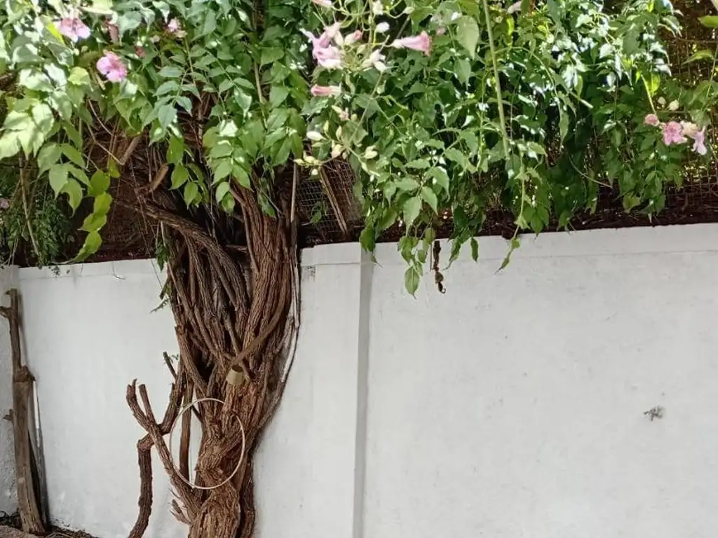 Foto de DEPARTAMENTO EN ALQUILER. MORENO CENTRO APTO PROFESIONAL, imagen 2
