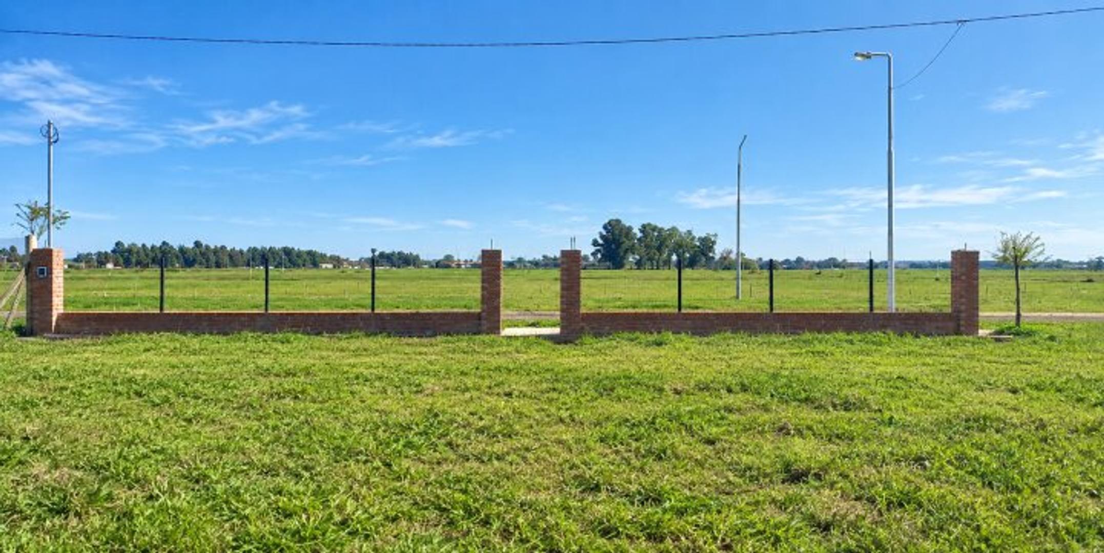 Foto de Terreno de 300 metros • Campos del Oeste Alvear • Ruta 18 • Santa Fe, imagen 1