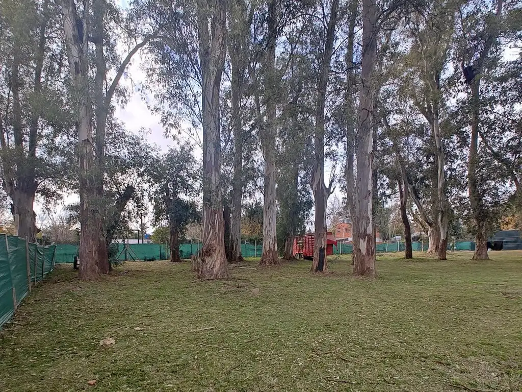 Foto de Lote en venta en Alvarez del Bosque. Anticipo y 6 cuotas, imagen 4