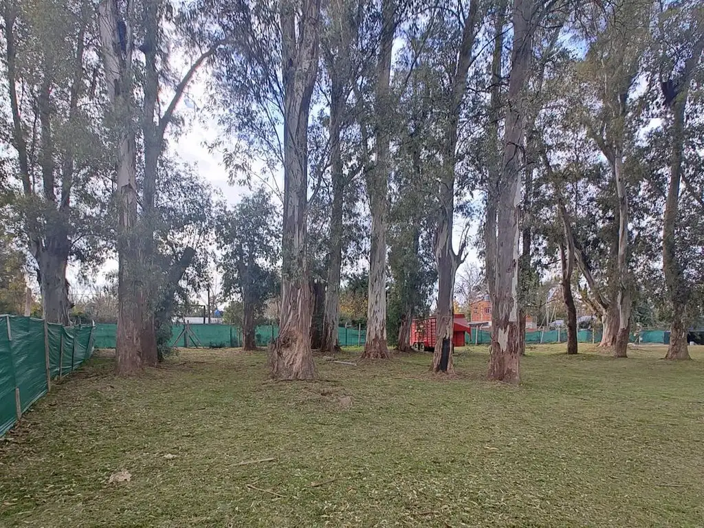 Foto de Lote en venta en Alvarez del Bosque. Anticipo y 6 cuotas, imagen 2