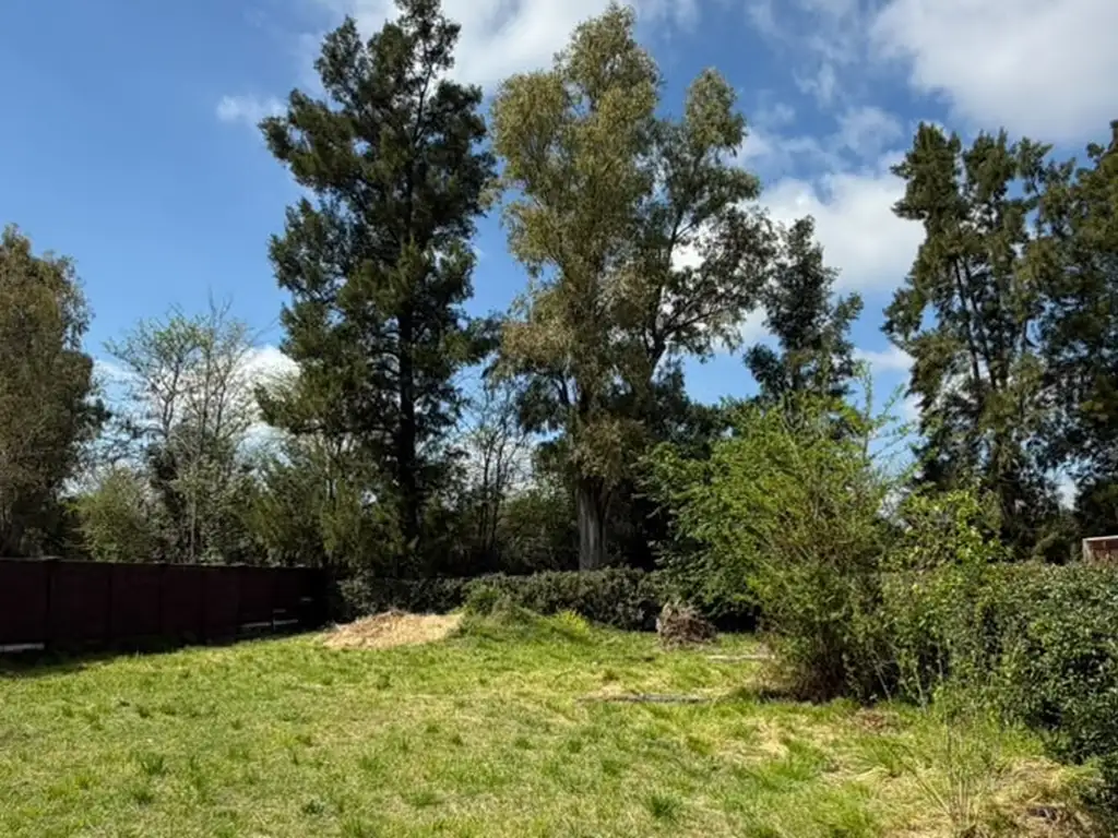 Foto de LOTE DE TERRENO EN LA LONJA - 600 M2 - BALDIO - MUY BUENA UBICACIÓN, imagen 1