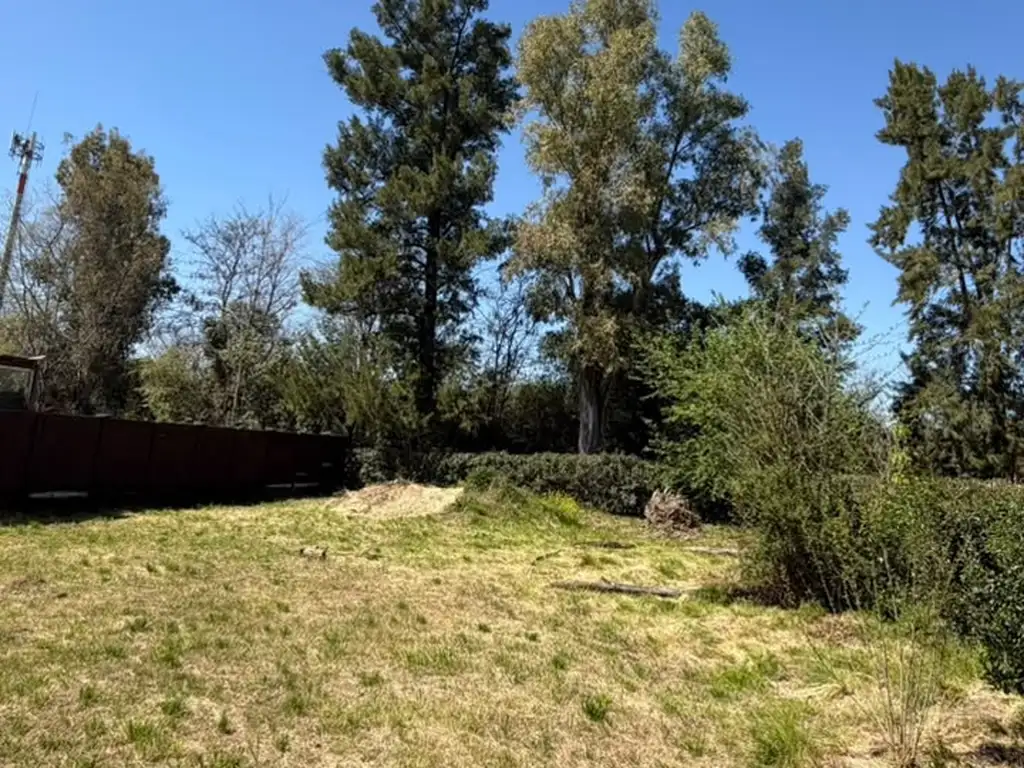 Foto de LOTE DE TERRENO EN LA LONJA - 600 M2 - BALDIO - MUY BUENA UBICACIÓN, imagen 3
