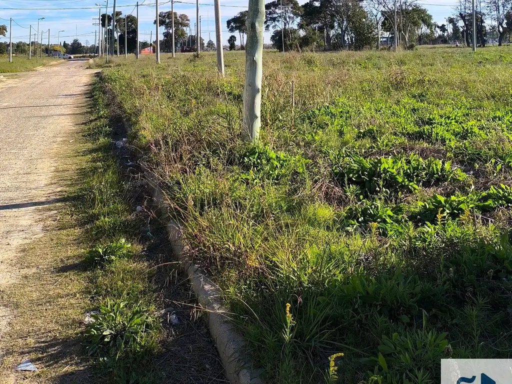Foto de Terreno / Lote en venta Calle 6 esq. 629 bis Sup. 335m2 -- Villa Elvira-, imagen 2