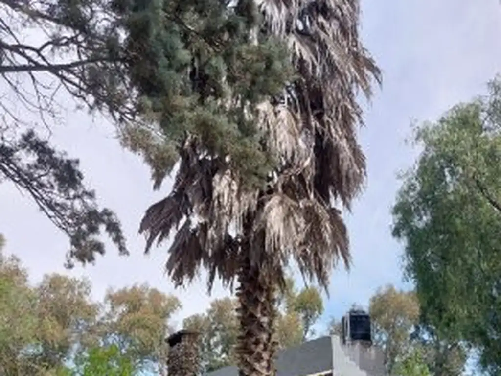 Foto de CASA CON PARQUE ARBOLADO Y PISCINA | 2 DORM | FUNES, imagen 2