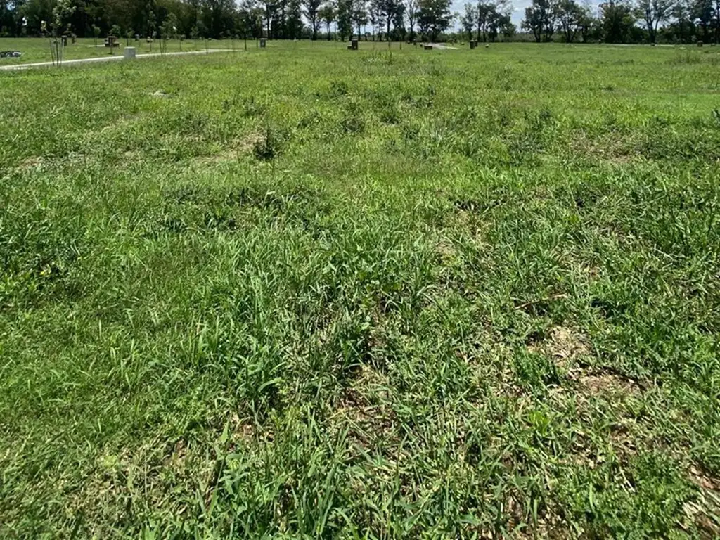 Foto de Terreno Lote en Venta en Santa Sofía, Pilar del Este, Pilar, imagen 2