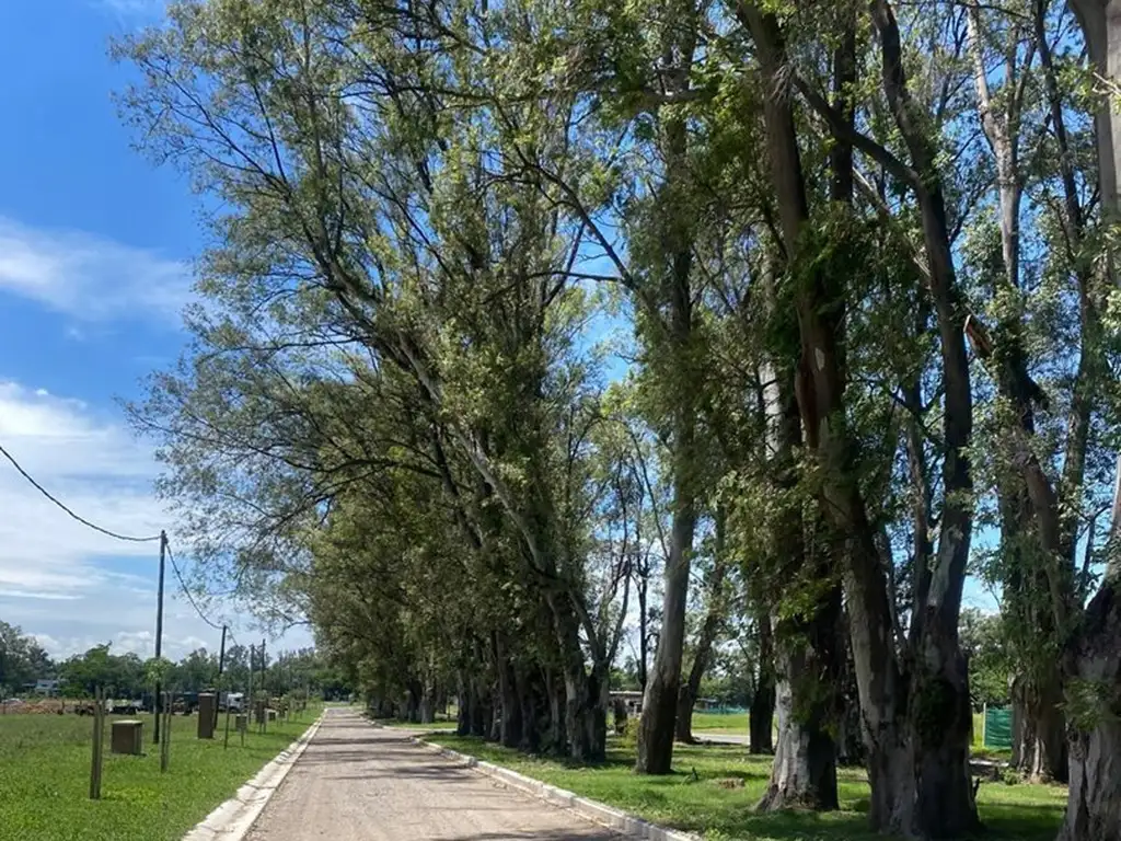 Foto de Terreno Lote en Venta en Santa Sofía, Pilar del Este, Pilar, imagen 4