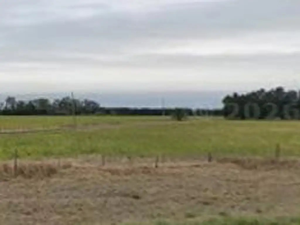 Foto de Terrenos industriales/logísticos de 1,5 has en Soldini sobre ruta A012, imagen 4