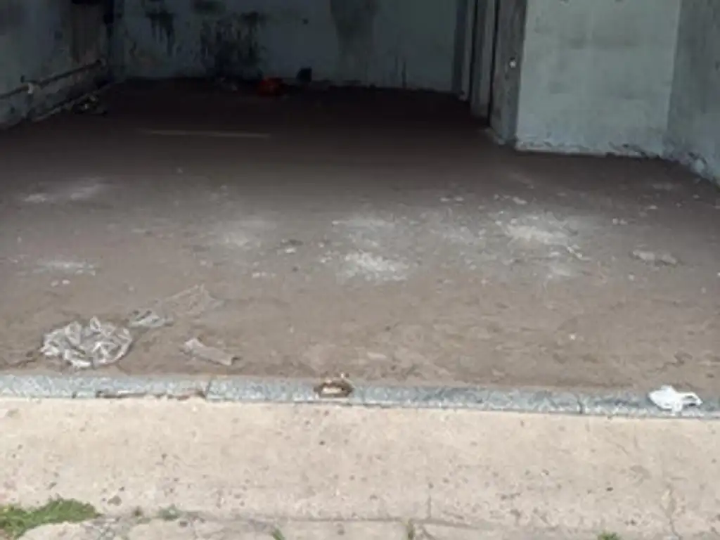 Foto de Local Depósito Con Persiana Ciega Y Puerta De Escape, imagen 1