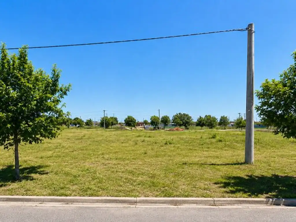 Foto de Lote Único, imagen 1