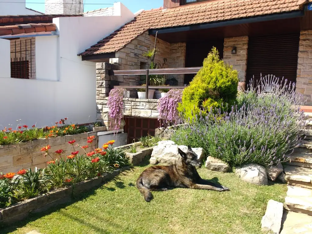 Foto de Casa de 5 dormitorios con patio y cocheras en alquiler en City Bell, imagen 5