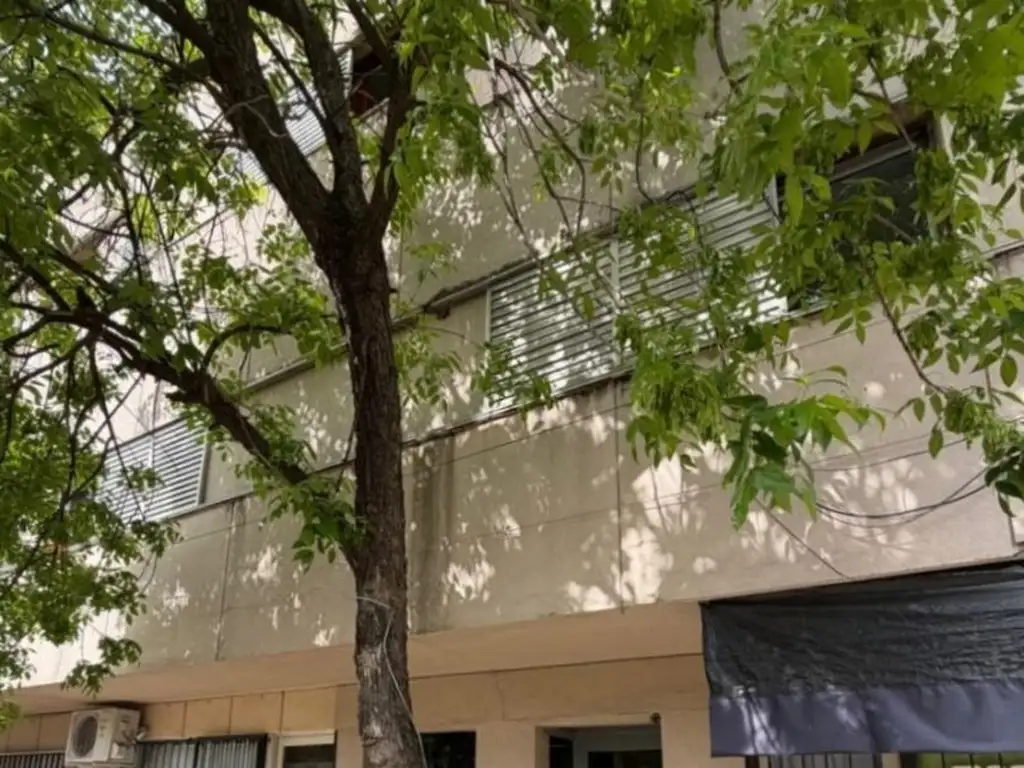 Foto de Oficina - Alquiler - Argentina, Concordia - HIPOLITO YRIGOYEN 795, imagen 2