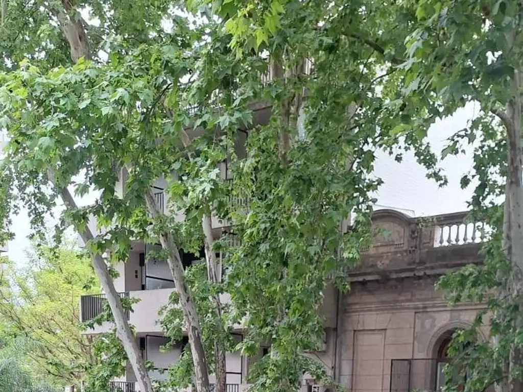 Foto de Departamento en alquiler en Centro, imagen 4