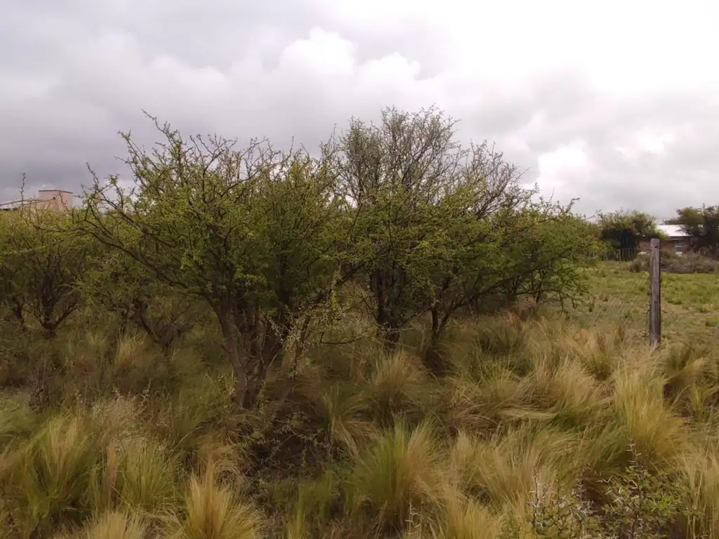 Foto de Lote en Cortaderas de 870mts2 con Escritura, imagen 4