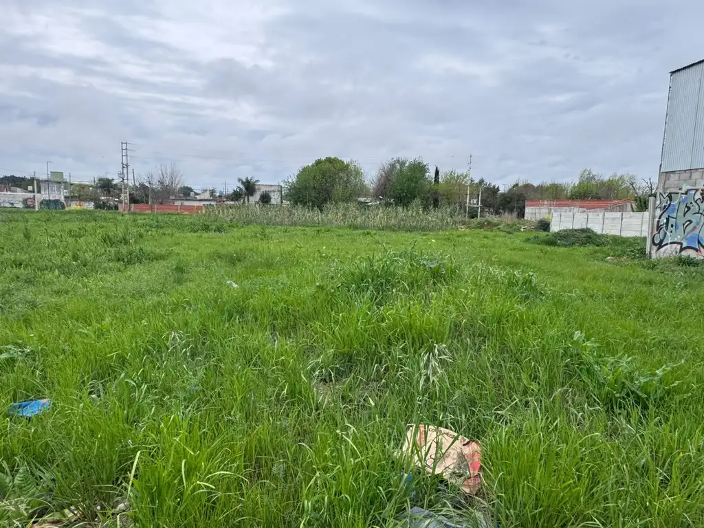 ALQUILER LOTES COMERCIAL BERAZATEGUI