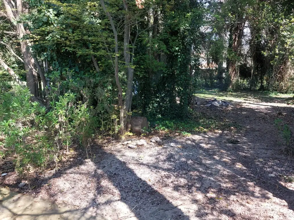 Foto de CASA QUINTA EN ALQUILER ANUAL, imagen 4