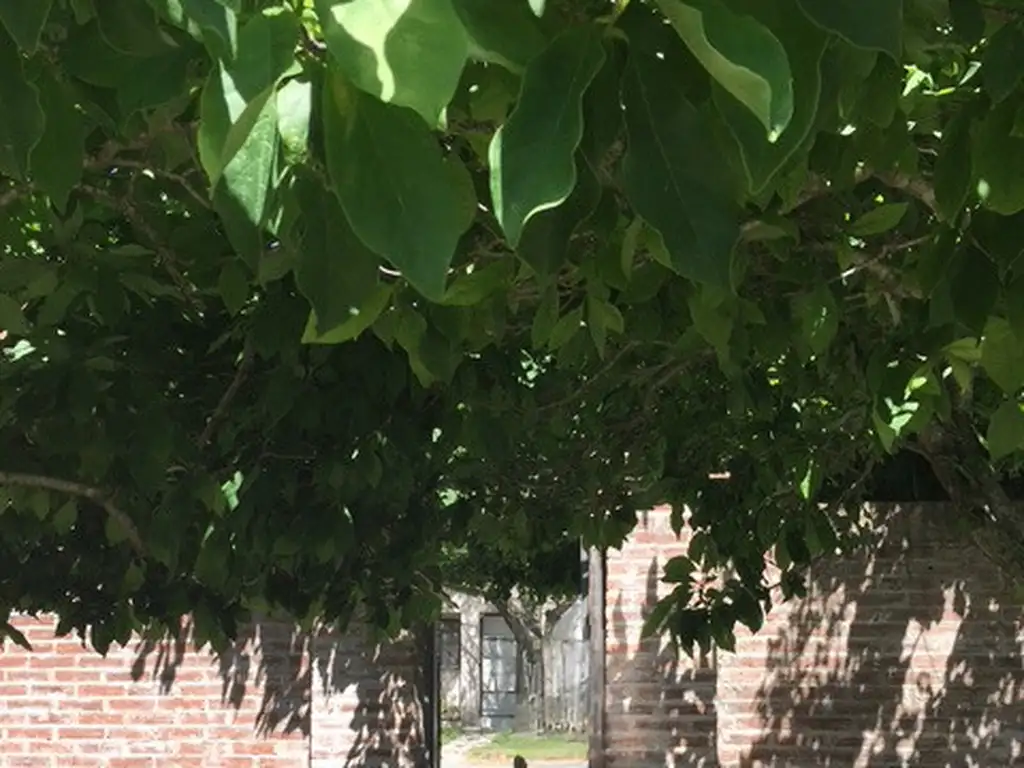 Foto de Casa en alquiler, imagen 1