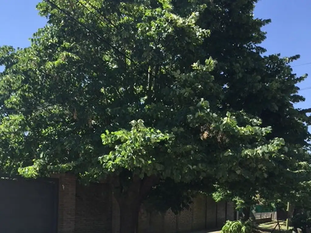 Foto de Casa en alquiler, imagen 4