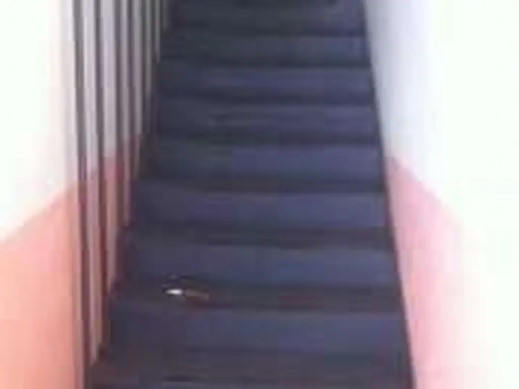 Foto de LOCAL FRENTE 4,70 MTS. PLANTA BAJA Y 1° PISO, 2 BAÑOS. TOTAL 112 M2, imagen 2