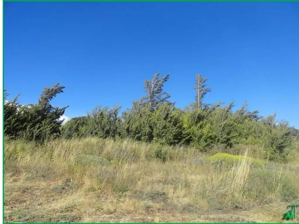 Foto de LOTE 576 M2. Loteo lago HUECHULAFQUEN., imagen 2