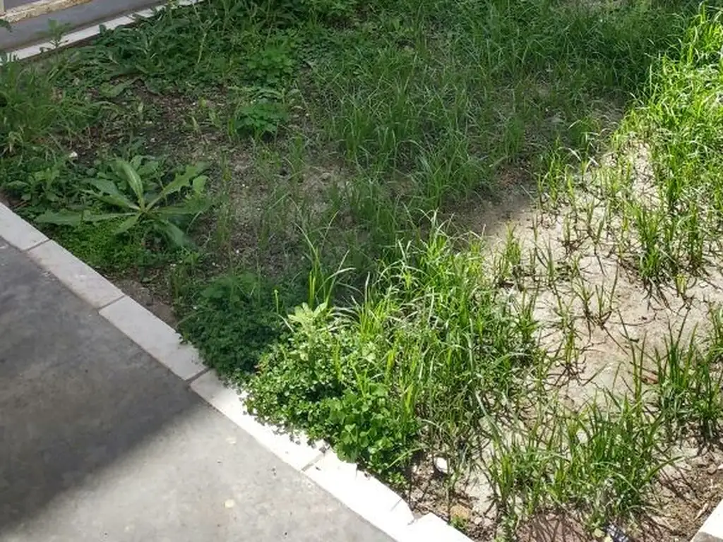 Foto de SUIPACHA Nº 2765, PASILLO- DÚPLEX, imagen 4