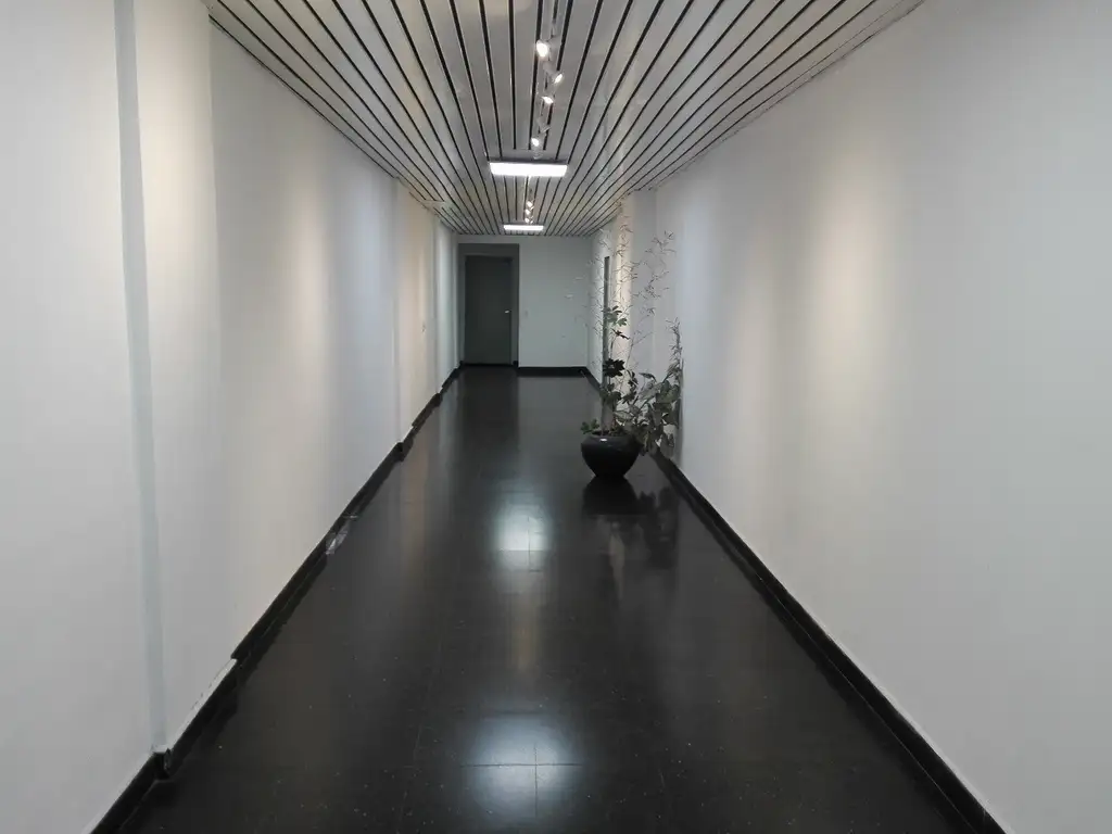 Foto de Piso Unico de oficinas 424m2, 2 salones y 11 despachos, 3 baños, imagen 2