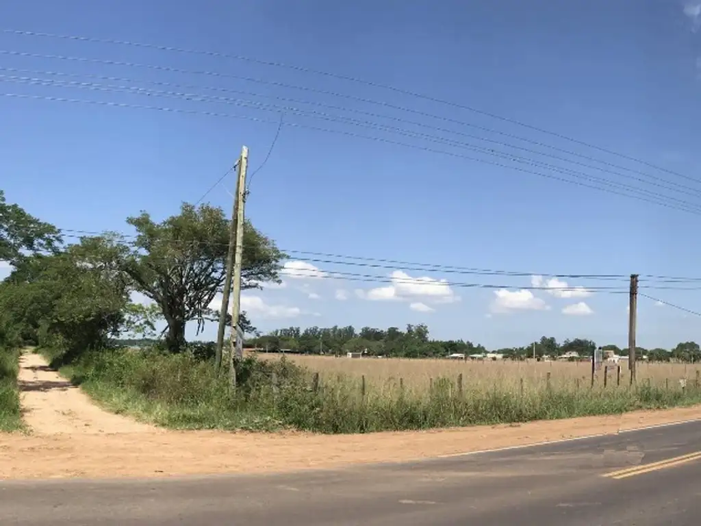 Foto de Terreno en venta, imagen 2