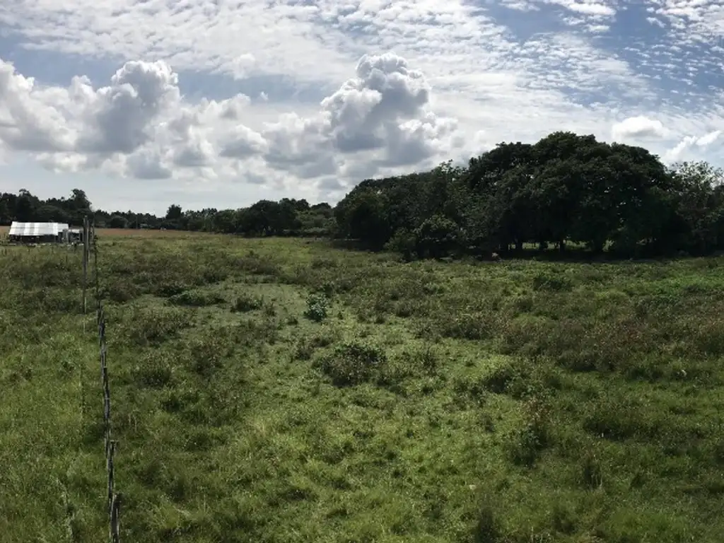 Foto de Terreno en venta, imagen 4
