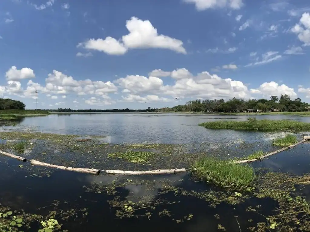 Foto de Terreno en venta, imagen 5