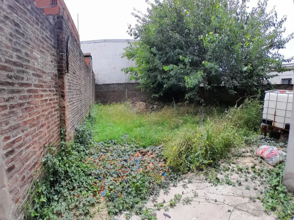 Foto de Local en alquiler excelente estado, imagen 5
