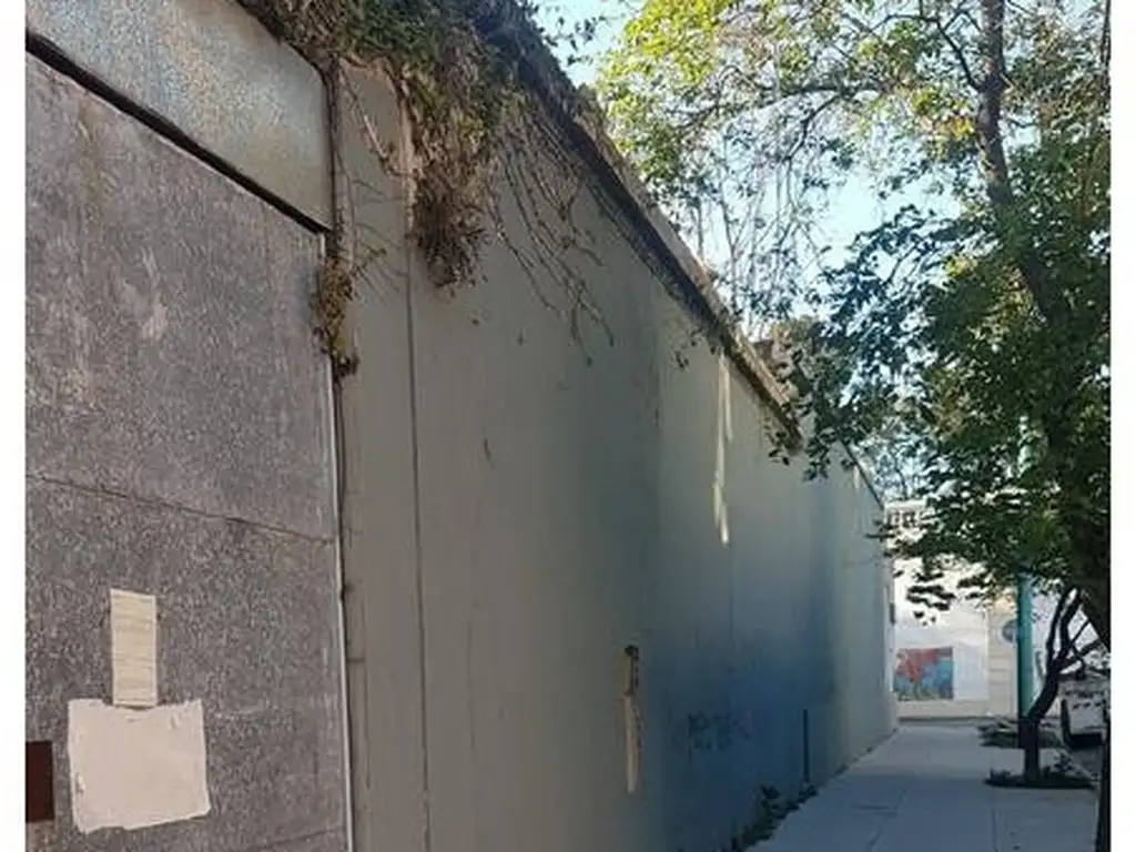 Foto de LOTE DE 1000 MTS "PUENTE AV SAN MARTIN", imagen 4