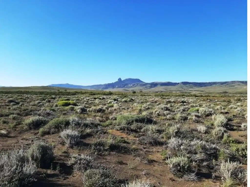 Foto de Lote 2947 m2, R.P. 61 Lago Huechulafquen, Junín de los Andes, imagen 2