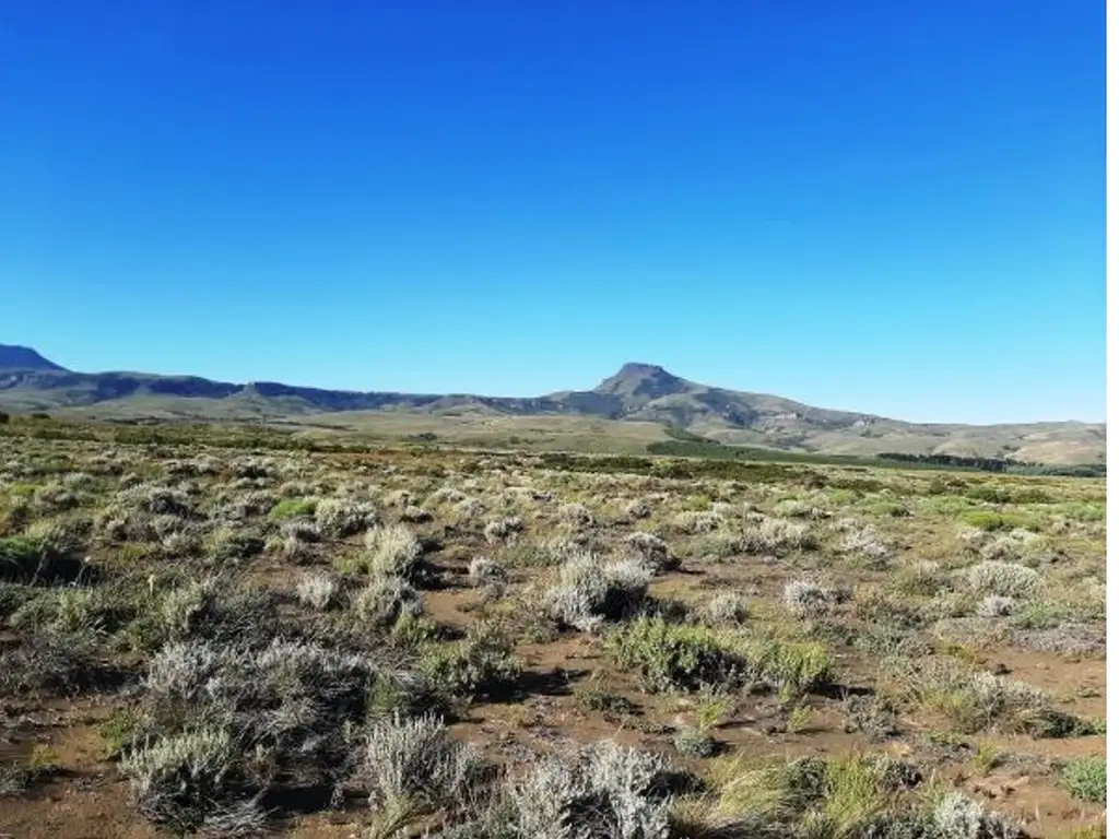 Foto de Lote 2947 m2, R.P. 61 Lago Huechulafquen, Junín de los Andes, imagen 5