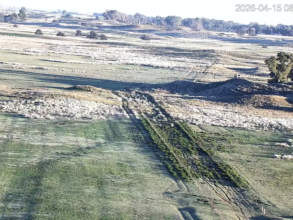 Foto de CAMPO GANADERO EN MEDANOS, VILLARINO - PARA CRIA - 2300 HA - 23, imagen 1
