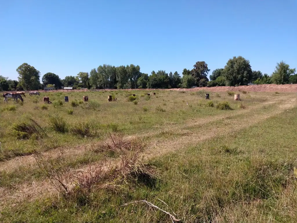 Foto de LOTE INDUSTRIAL 40.000 M2. AU OESTE COLECTORA SUR .KM 47, imagen 2