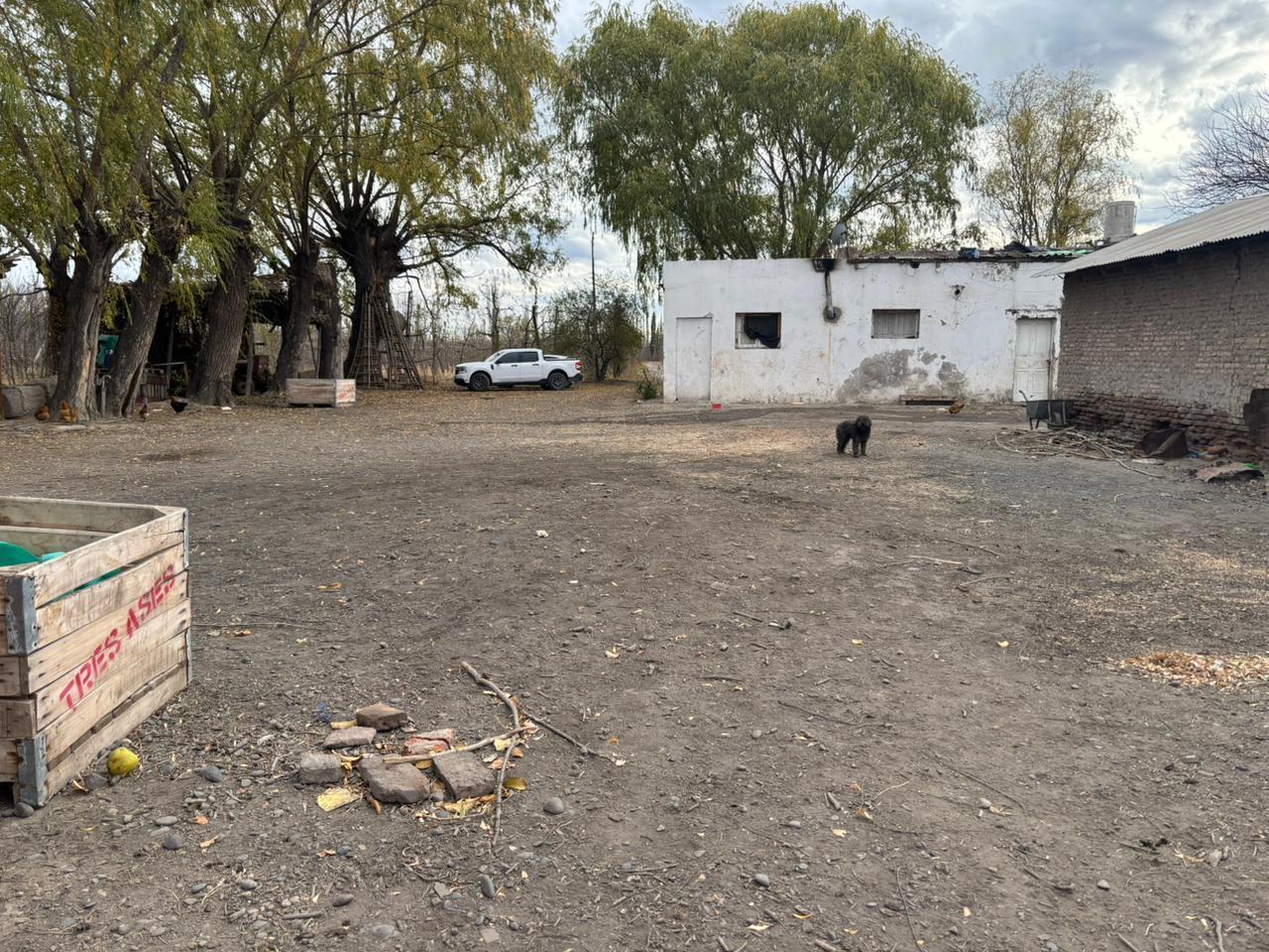 Foto de Chacra de 13 hectáreas en producción, Cipolletti, imagen 5