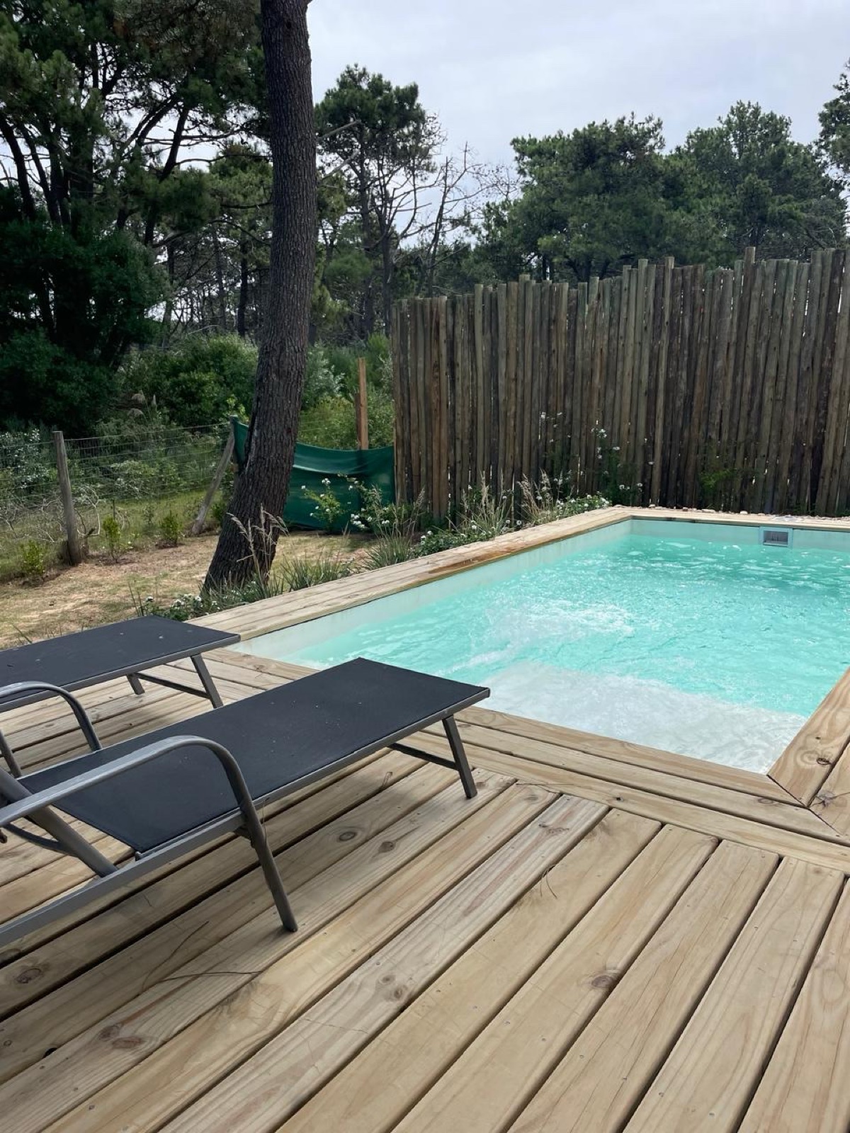 Foto de Casa en Pinar del Faro, José Ignacio – 4 suites y piscina en entorno de, imagen 2