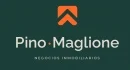 Pino-Maglione