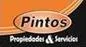 Pintos propiedades