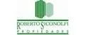 ROBERTO SICONOLFI PROPIEDADES