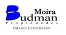 MOIRA BUDMAN