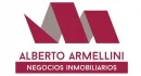 ARMELLINI ALBERTO NEGOCIOS INMOBILIARIOS