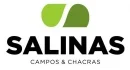 SALINAS & ASOCIADOS S.A.