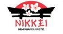Nikkei bienes raíces