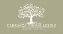  Inmobiliaria Carranza Chiodi 