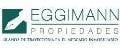 Eggimann Propiedades