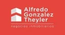 I.ALFREDO GONZALEZ THEYLER