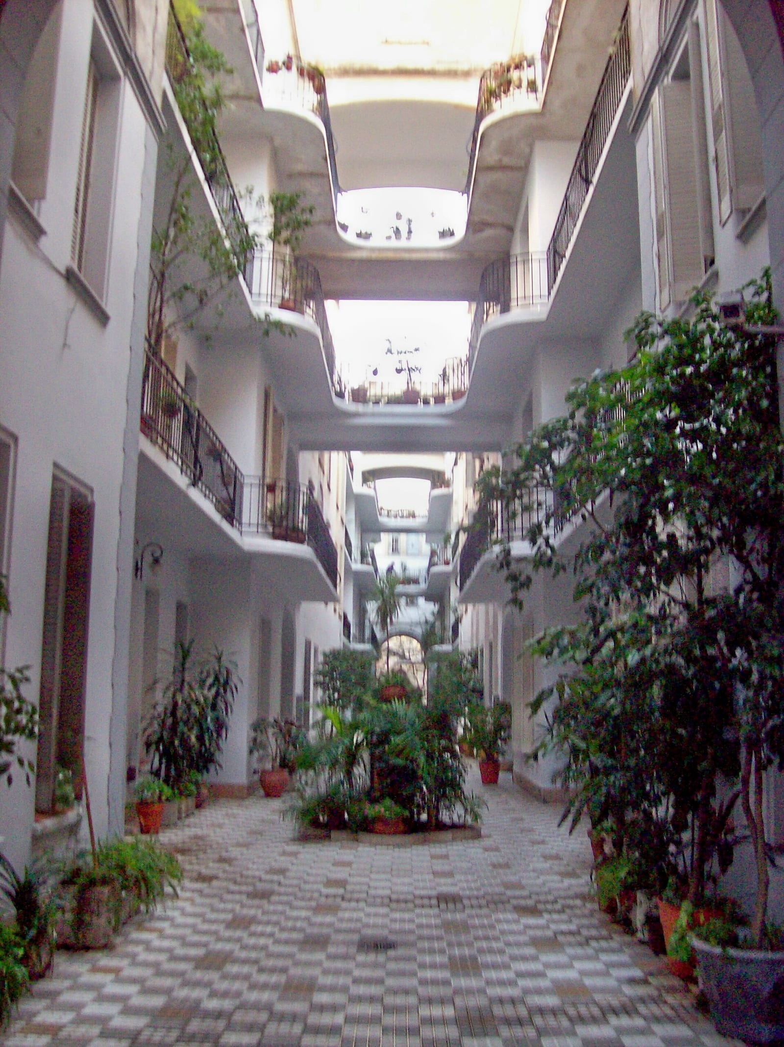 Pasaje General Paz, uno de los rincones más pintorescos de Colegiales con sus árboles centenarios
